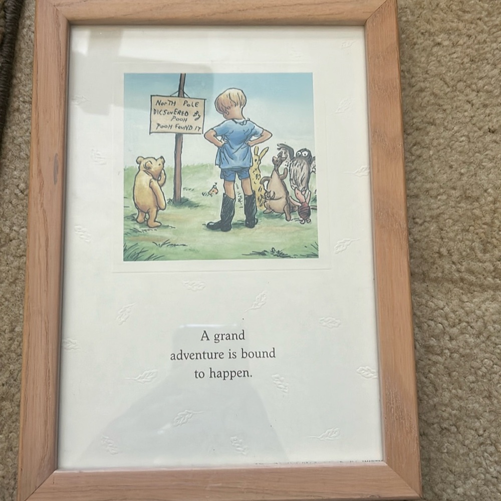 Winnie the Pooh grand adventure picture